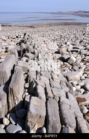 Eine geologische SSSI am Kilve Beach in North Somerset mit Kalkstein-Plattformen Stockfoto