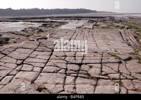 Eine Küste geologischen SSSI in der Nähe von Lilstock in North Somerset mit Vorland Belichtungen von Blue Lias Stockfoto