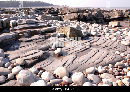 Eine geologische SSSI am Kilve Beach in North Somerset mit Kalkstein-Plattformen Stockfoto