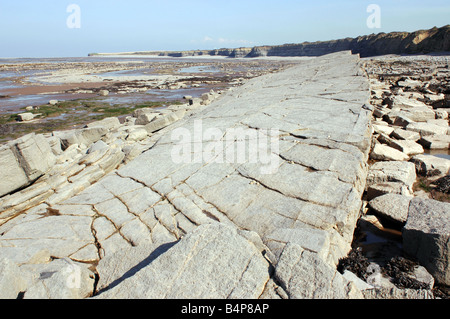 Eine Küste geologischen SSSI in der Nähe von Lilstock in North Somerset mit Vorland Belichtungen von Blue Lias Stockfoto