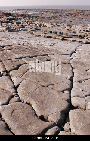 Eine Küste geologischen SSSI in der Nähe von Lilstock in North Somerset mit Vorland Belichtungen von Blue Lias Stockfoto