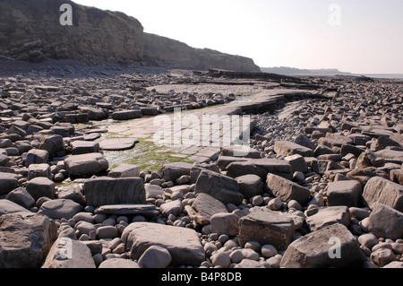 Eine Küste geologischen SSSI in der Nähe von Lilstock in North Somerset mit Vorland Belichtungen von Blue Lias Stockfoto