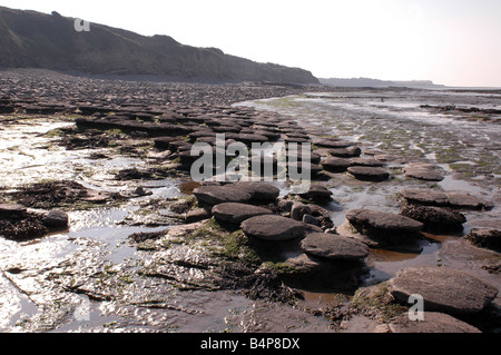 Eine Küste geologischen SSSI in der Nähe von Lilstock in North Somerset mit Vorland Belichtungen von Blue Lias Stockfoto