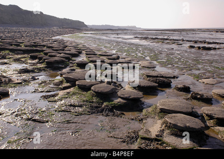 Eine Küste geologischen SSSI in der Nähe von Lilstock in North Somerset mit Vorland Belichtungen von Blue Lias Stockfoto