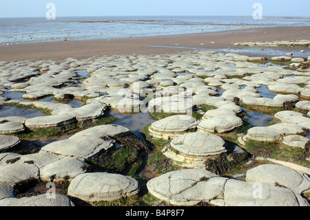 Eine Küste geologischen SSSI in der Nähe von Lilstock in North Somerset mit Vorland Belichtungen von Blue Lias Stockfoto