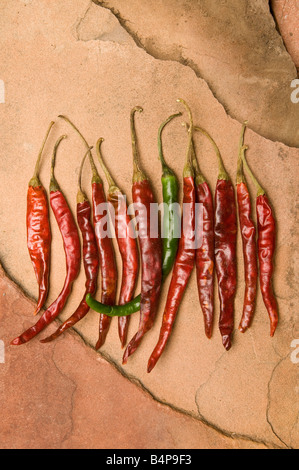 Chiles de Arbol Stockfoto