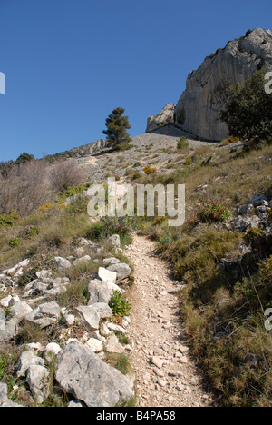 Geröllhalde und Pfad zu Els Frares rock Zinnen, Comtat, Provinz Alicante, Comunidad Valenciana, Sierra de Serrella, Spanien Stockfoto