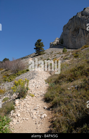 Geröllhalde und Pfad zu Els Frares rock Zinnen, Comtat, Provinz Alicante, Comunidad Valenciana, Sierra de Serrella, Spanien Stockfoto