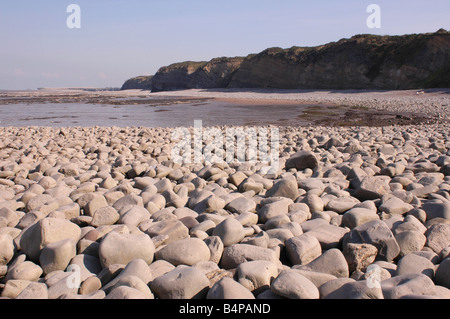 Eine geologische SSSI am Kilve Beach in North Somerset mit Kalkstein-Plattformen Stockfoto