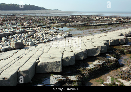 Eine Küste geologischen SSSI in der Nähe von Lilstock in North Somerset mit Vorland Belichtungen von Blue Lias Stockfoto