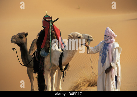 Algerien in der Nähe von Djanet Mann der Tuareg Stamm und Kamele Sahara Wüste Stockfoto