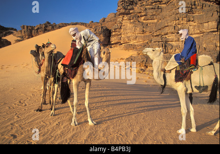 Algerien in der Nähe von Djanet Männer der Tuareg Stamm und Kamele Sahara Wüste Stockfoto