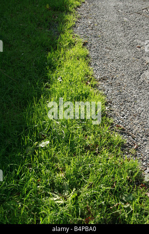 zu Fuß Weg Fuß Weg Wald im Land Stockfoto