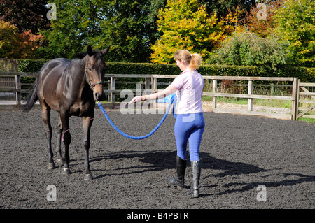 Eine dunkle Bucht Wallach Pferd und Pferd Whisperer gesehen während einer Trainingseinheit England UK Stockfoto