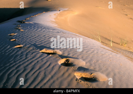 Algerien Taghit Spuren in Frost in Sanddüne Morgen Winter Wüste Sahara Stockfoto
