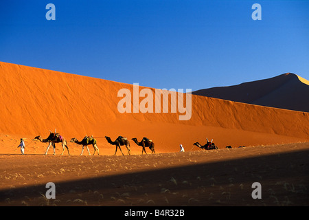 Algerien in der Nähe von Djanet Männer der Tuareg Stamm Kamel-Karawane Wüste Sahara Stockfoto