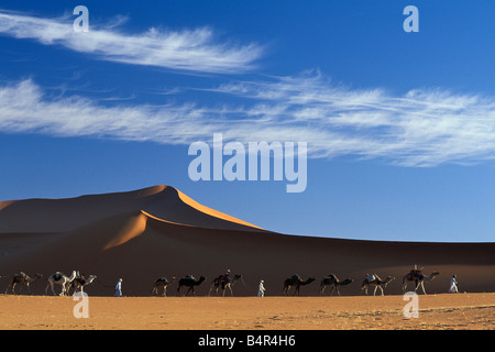 Algerien in der Nähe von Djanet Sanddünen Männer der Tuareg Stamm Kamel-Karawane Sanddünen Sahara Wüste Stockfoto