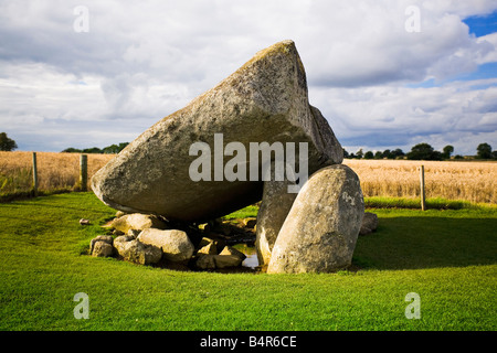 Brownshill Dolmen Carlow Irland Stockfoto