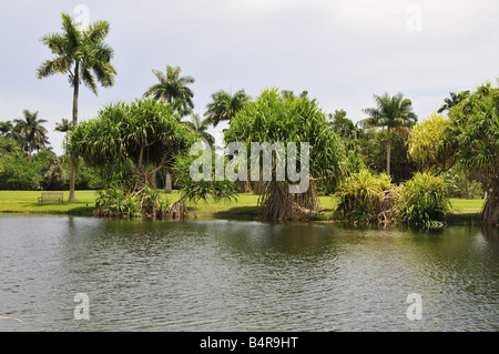 Fairchild tropical Garten Florida Botanical Garden in der Nähe von miami Stockfoto