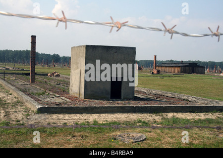 Stacheldrahtzaun in Auschwitz Stockfoto
