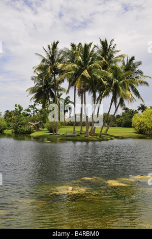 Fairchild tropischer Garten Florida Botanischer Garten in der Nähe von miami Stockfoto