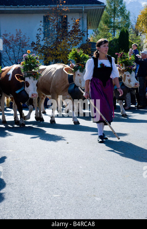 Frau in traditioneller Tracht gekleidet führt ihre Kühe in der jährlichen Alpenfest-Parade. Lenk, Schweiz. Stockfoto