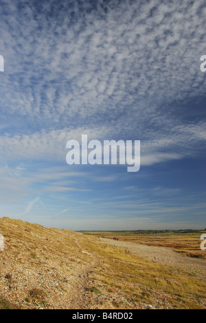 Cley Nature Reserve North Norfolk East Anglia Düne Stockfoto