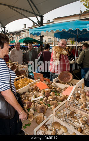 Pilze in Moissar Markt, Südwest-Frankreich verkauft. Der Herbst ist die Jahreszeit. Lieferanten halten enorme cep Stockfoto