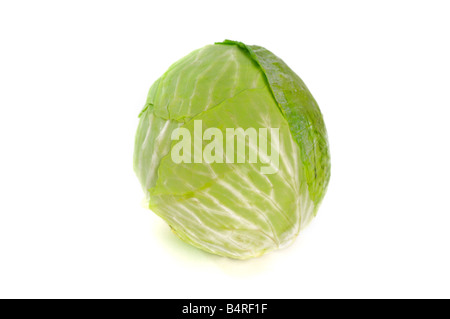 Ein Kopf von Kohl auf einem weißen Hintergrund. Studio. Stockfoto