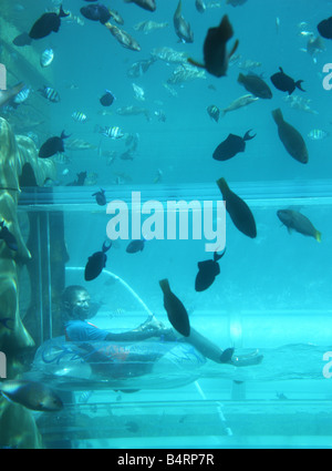 Hotel Atlantis, The Palm, Dubai, Vereinigte Arabische Emirate. Wasser-Fun-Park Aquaventure, Wasserrutsche durch ein Aquarium. Stockfoto
