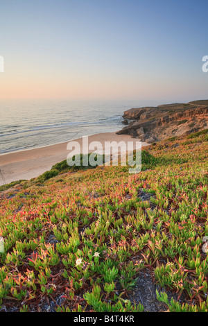 Praia de Monte Clerigo, Aljezur, Parque Natural SW Alentejano e Costa Vicentina, Algarve, Portugal Stockfoto