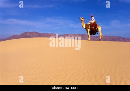 Ein Beduine gekleidet in traditionellen Gewändern auf einem Kamel in der Wüste Sinai Ägypten. Stockfoto