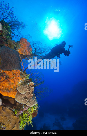 Frau Taucher mit Unterwasser-Digitalkamera über unberührten Korallenriff West End Grand Bahama Atlantik schwimmen Stockfoto
