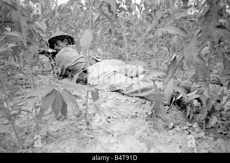 Pakistan - Bangladesch Bürgerkrieg Juni 1971; Ein großes Gebiet von Ost-Pakistan Gebiet ist unter der Kontrolle von Bangladesch Freiheitskämpfer. Diese Bilder wurden auf Patrouille mit einer operativen Einheit, deren Lager ist im Dschungel nur innerhalb der indischen Grenze.; O Ihr Bild zeigt: Soldaten auf Patrouille in Ost-Pakistan Stockfoto