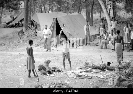 Ein großes Gebiet von Ost-Pakistan Gebiet ist unter der Kontrolle von Bangladesch Freiheitskämpfer. Diese Bilder wurden auf Patrouille mit einer operativen Einheit, deren Lager im Dschungel nur innerhalb der indischen Grenze ist.; Männer hacken Holz für das Lagerfeuer Stockfoto