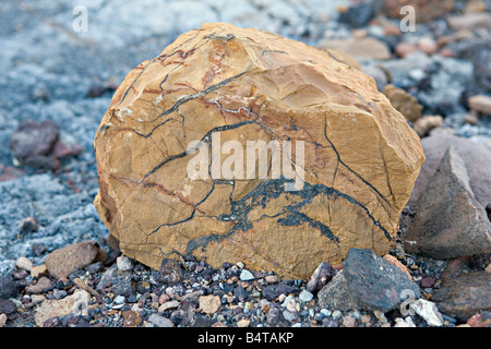 Der verbrannte Berg Rock Probe in Twyfelfontein Damaraland Namibia Stockfoto