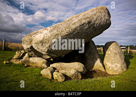 Brownshill Dolmen Carlow Irland Stockfoto