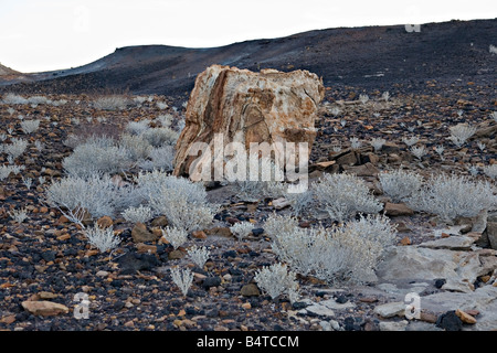 Der verbrannte Berg Landschaft in Twyfelfontein Damaraland Namibia Stockfoto