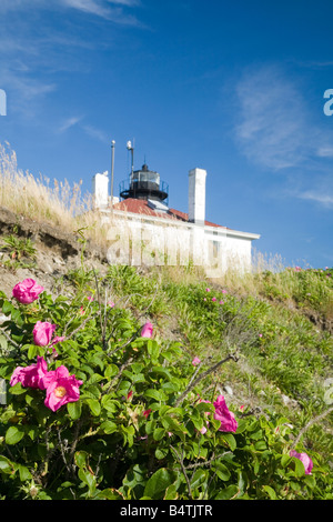 Foto von der Beavertail Leuchtturm in Jamestown, Rhode Island. Stockfoto