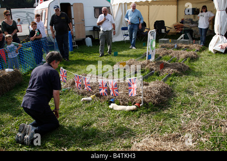 Frettchen-Rennen in den Midlands Spiel fair Weston Park Shropshire England uk Stockfoto