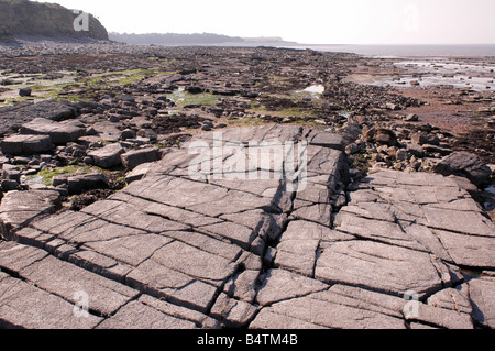 Eine Küste geologischen Site of Special Scientific Interest in der Nähe von Lilstock in North Somerset mit Vorland Belichtungen von Blue Lias Stockfoto