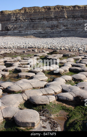 Eine Küste geologischen SSSI in der Nähe von Lilstock in North Somerset mit Vorland Belichtungen von Blue Lias Stockfoto