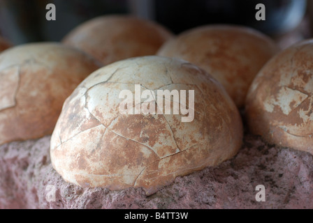 Dinosaurier-Eiern-Replik Stockfoto