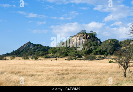 Tansania Serengeti Nationalpark Bereich Seronera Stockfoto