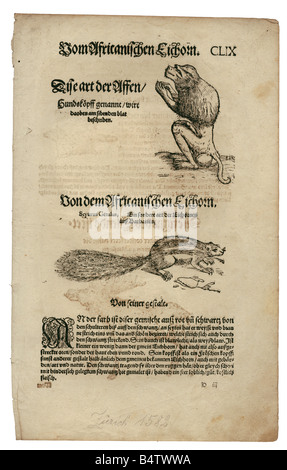 Zoologie/Tiere, Lehrbücher, "Historia animalium", von Conrad Gessner, Zürich, Schweiz, 1551 - 1558, oben: Pavian (Papio), unten: Barbar-Bodenhörnchen (Atlantoxerus getulus), Holzschnitt, Stockfoto