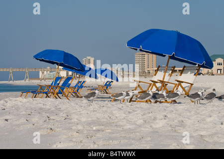 Liegestühle und Sonnenschirme zu Proteck von der Sonne und genießen Sie die Gewässer des Golfs von Mexiko während des Urlaubs Stockfoto