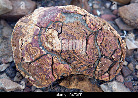 Der verbrannte Berg Rock Probe in Twyfelfontein Damaraland Namibia Stockfoto