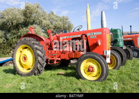 David Brown 770 Selectamatic Traktor Dampfmaschine Rallye Cheltenham Racecourse UK Stockfoto