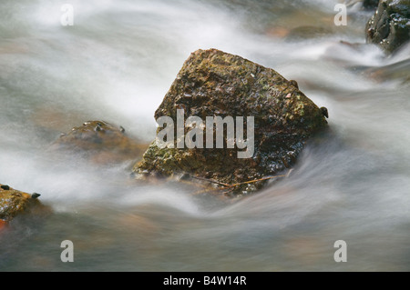 Bergbach im Tabin Wildlife Reserve Sabah Malaysia Stockfoto