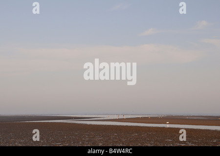 2 Meilen von Roggen ist der ausgezeichnete Camber Sands Strand einst die Fischer es ist jetzt bei Schwimmern beliebt und scharfkantigen Dünen Stockfoto